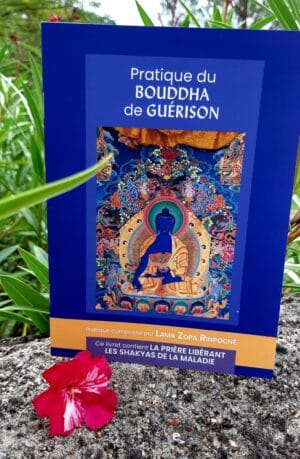 Pratique du Bouddha de Guérison