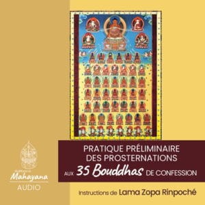 Prosternations aux 35 bouddhas de confession - Livre audio