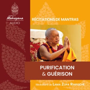 Purification & guérison - Livre audio