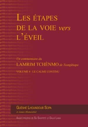 Les étapes de la voie vers l'éveil (vol. 4)