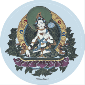 Sticker de Tara blanche
