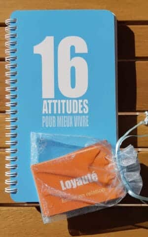 16 Attitudes pour mieux vivre - Jeu de cartes
