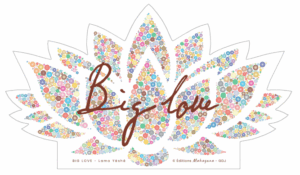 Sticker Big love